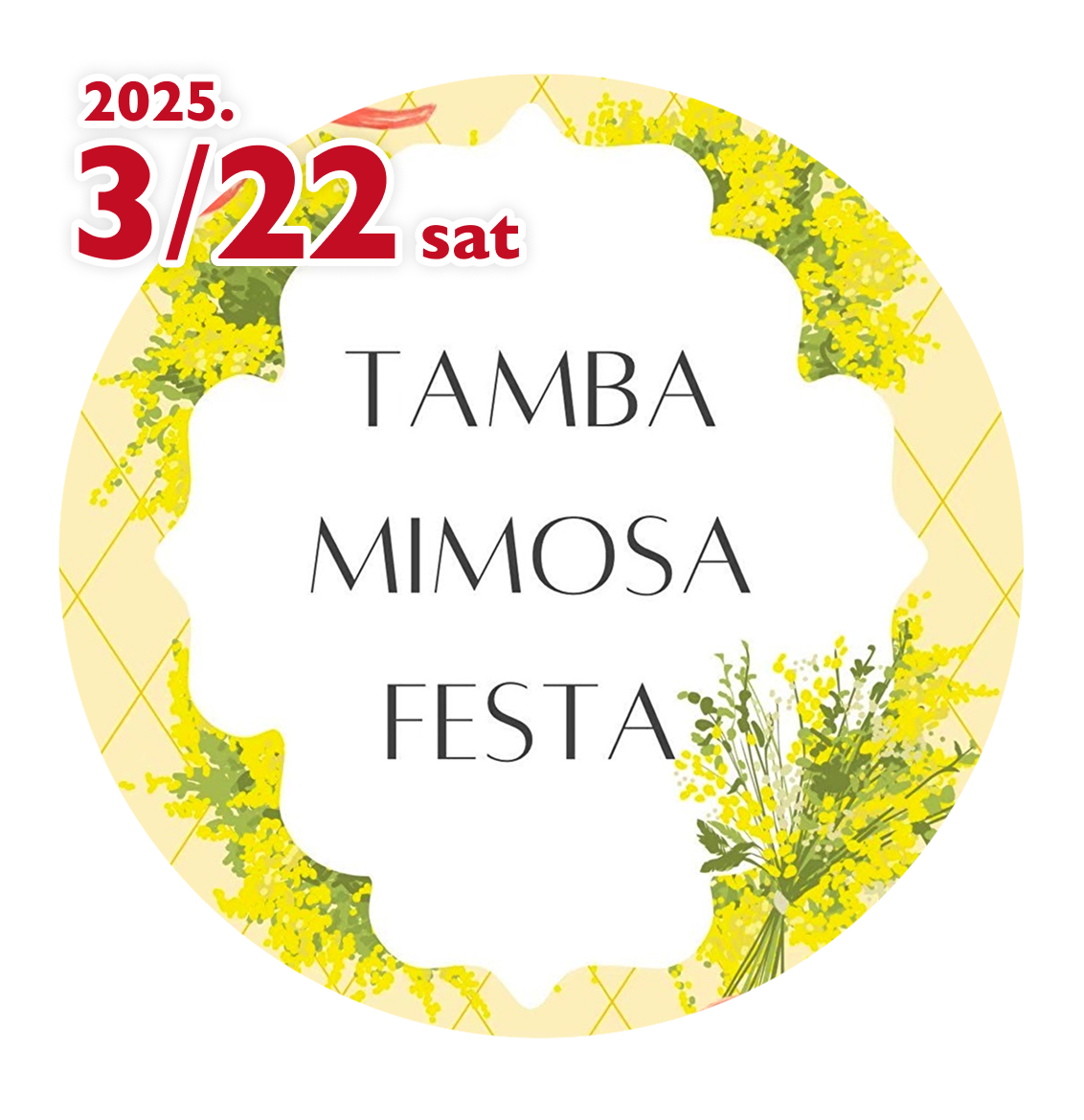 TAMBA MIMOSA FESTA 2025